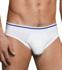 Brief
